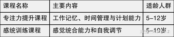深圳儿童专注力提升课程科学评测与系统训练让大米和小米课程