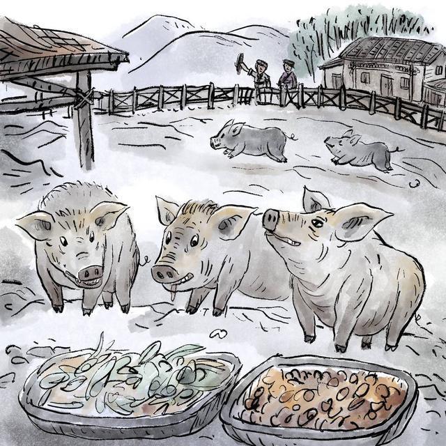 北川老腊肉｜四川安逸如画(图5)